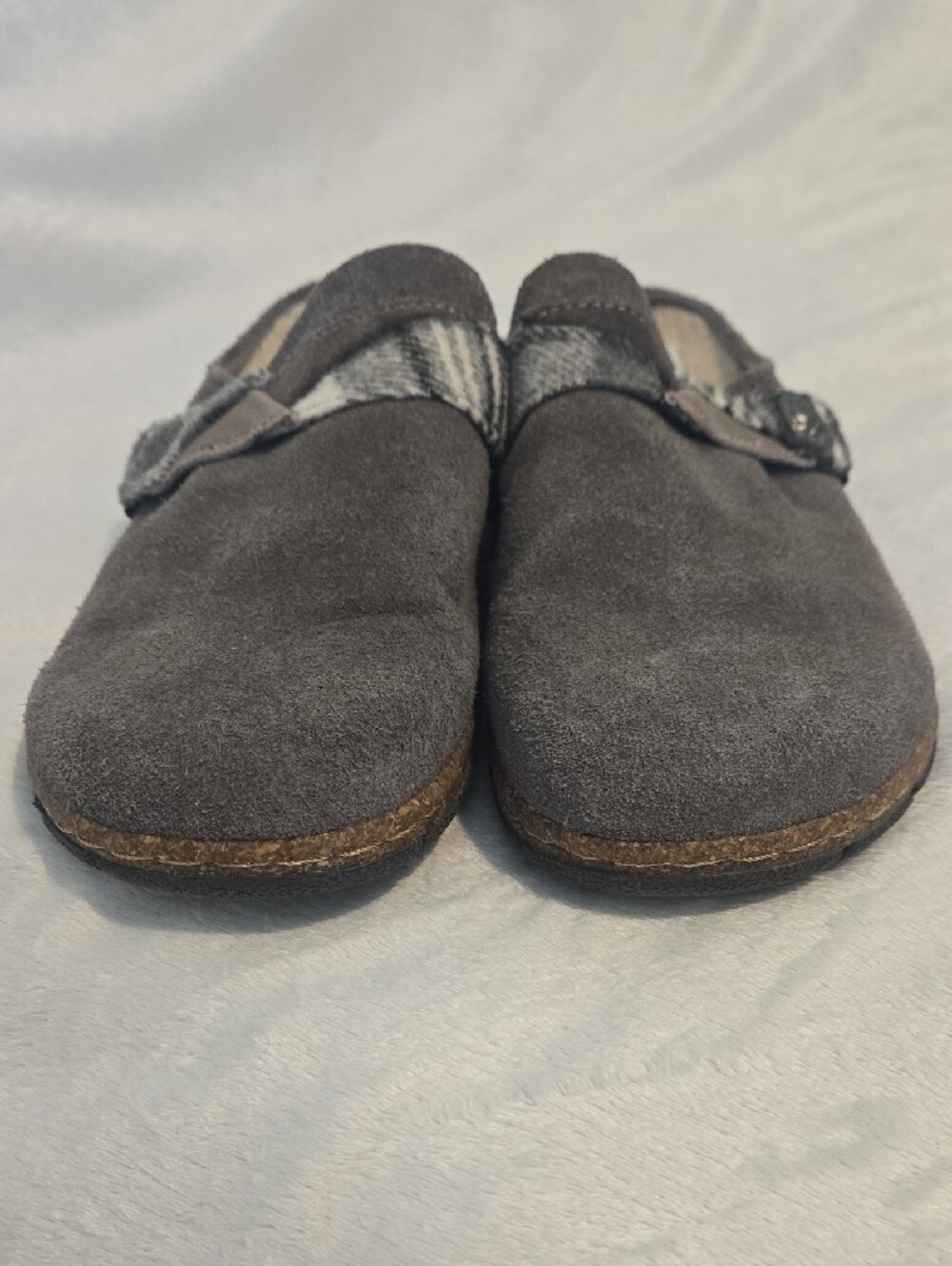 Earth Origins Lined Suede Slip-On Clogs with Patterned Strap - Picture 6 of 11